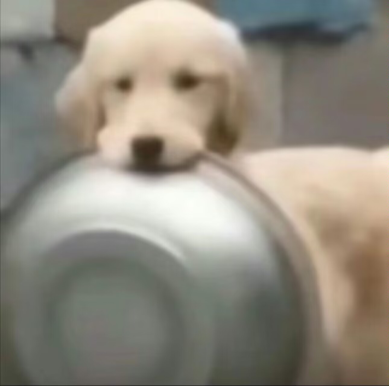 b0e4b3c80d309169b836d3e6d0d2a1eb