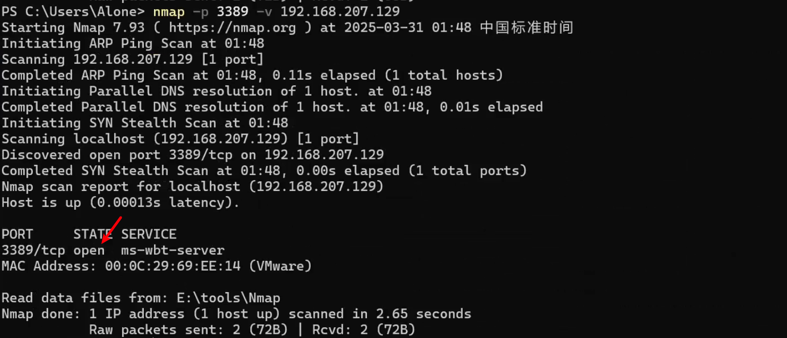 image-20250331014934090